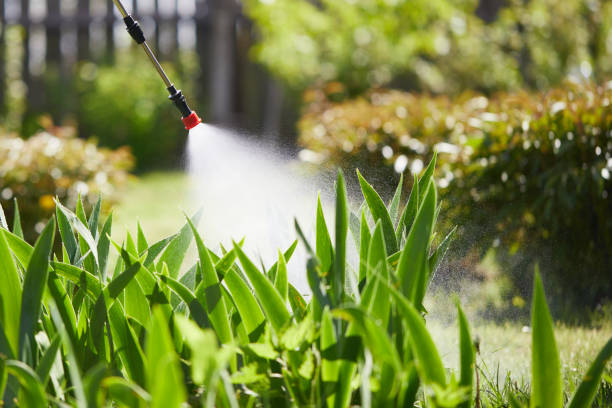 24/7 Emergency Wasp Removal experts in Menomonie, WI