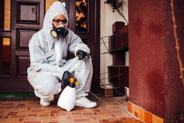 Reliable Wasp Removal contractor in Menomonie, WI by Show Me Pest Control